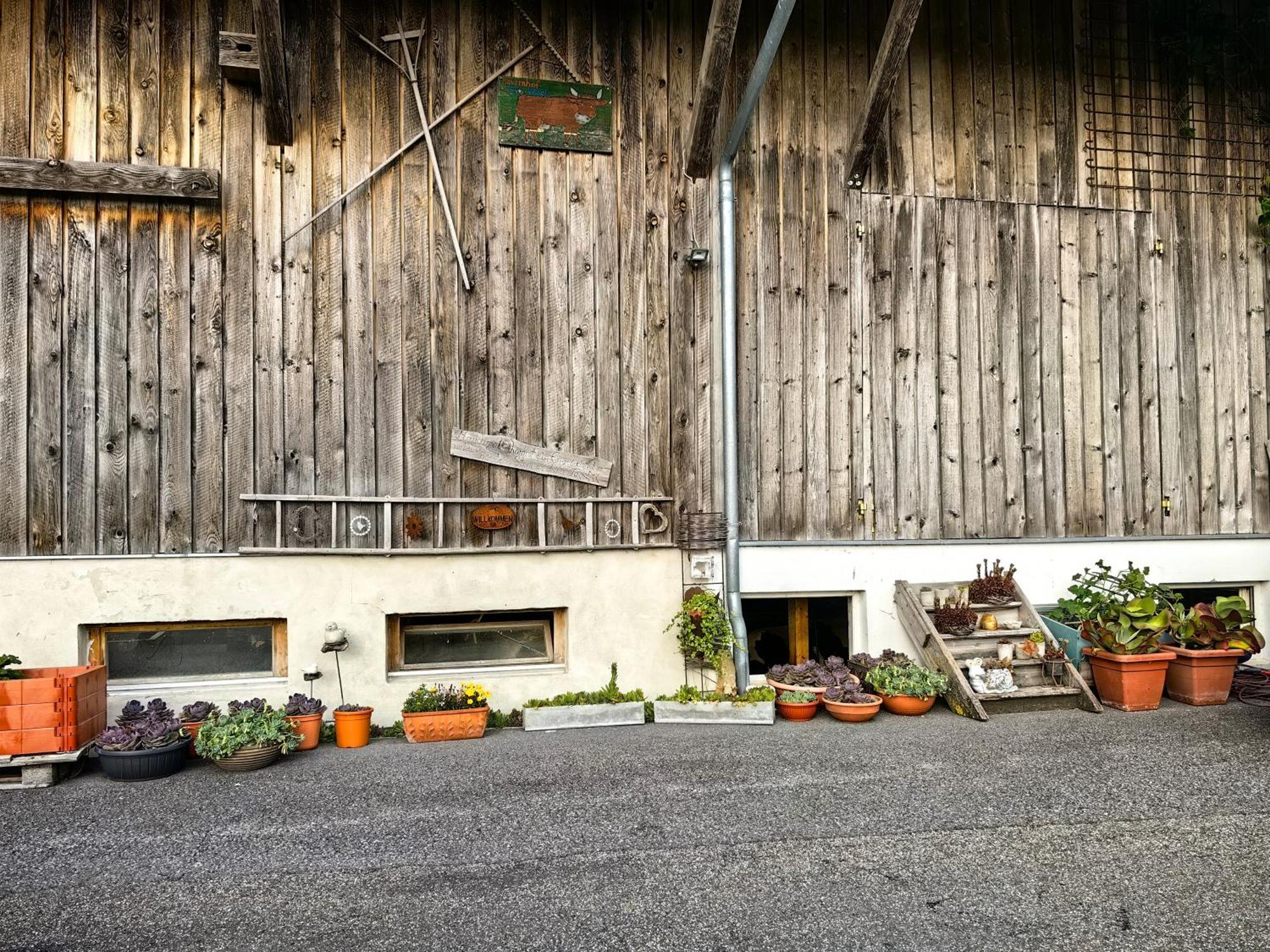 Voegelhof Apartment Doren Exterior foto
